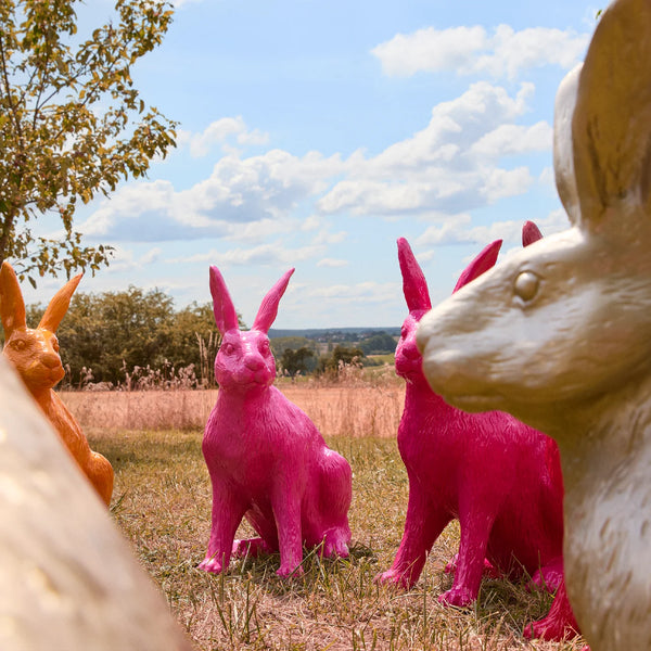 Hase "Vielfalt 17" - der Große