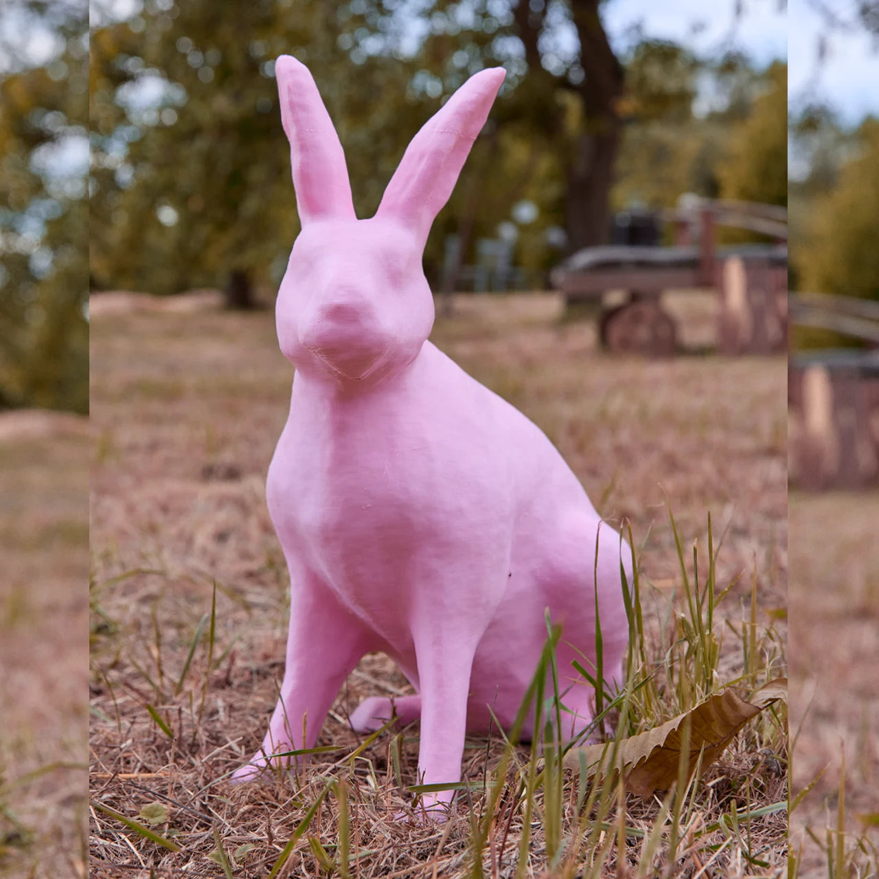 Hase "Vielfalt 17" To Go